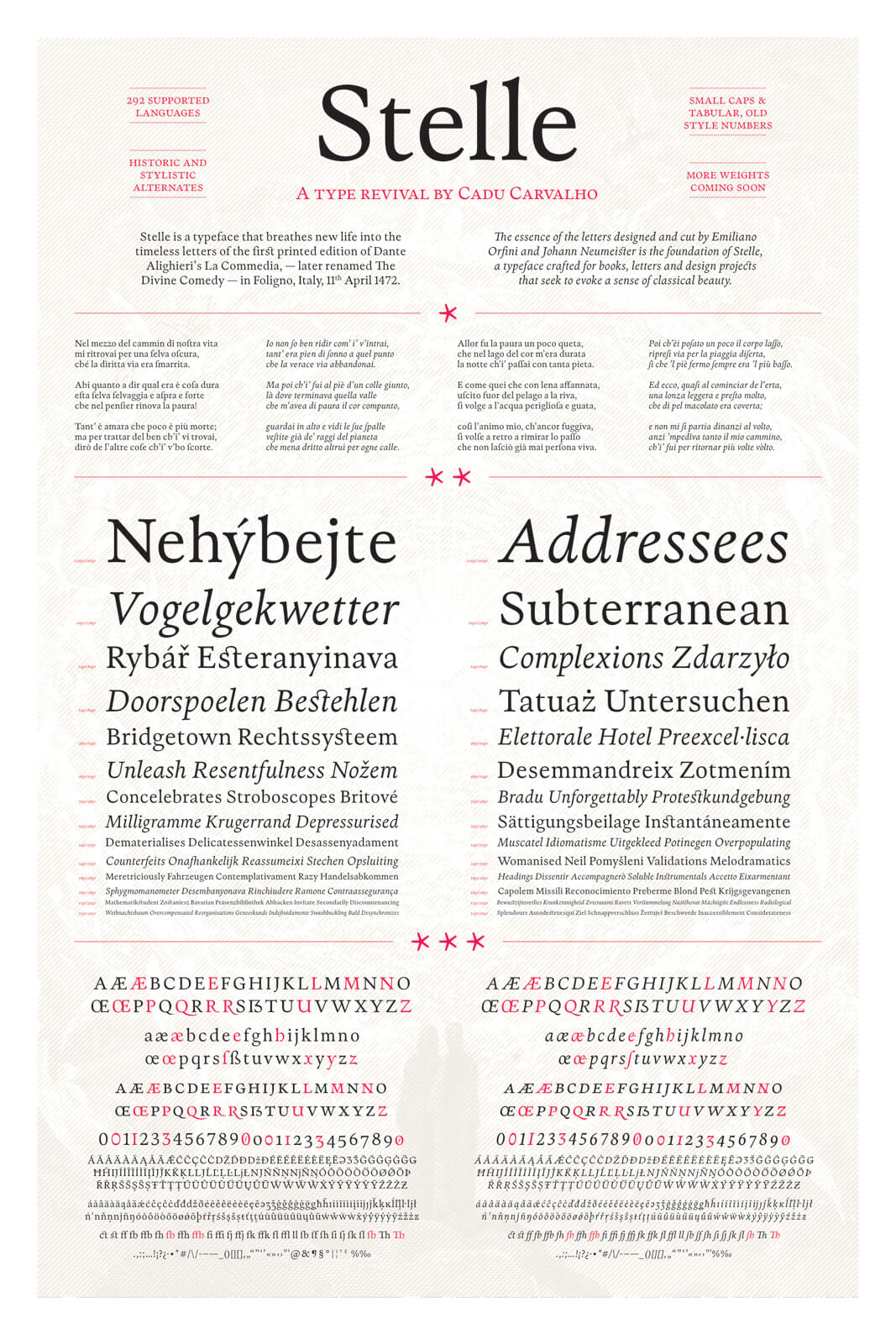 Cadu Carvalho, Stelle Specimen Poster